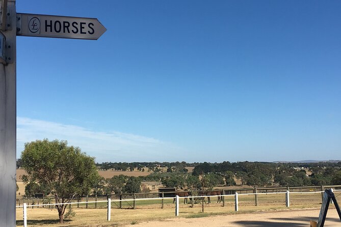 Champion Racehorse Tour with Beer and Wine Tasting - Who This Tour Suits Best (And Who Should Skip It)