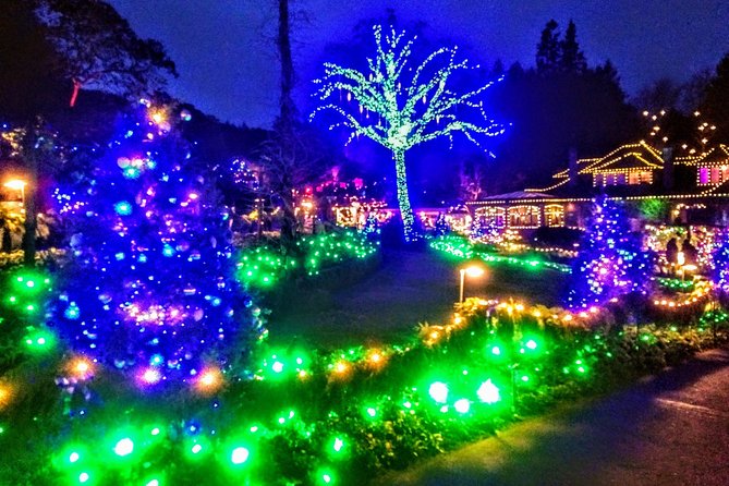 Christmas in Victoria and the Butchart Gardens - The option to skate: fun, but it’s an add-on