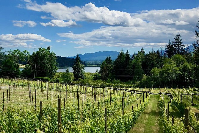Cowichan Valley Premium Wine Tour - A Tesla Model S 85 day trip that actually feels premium