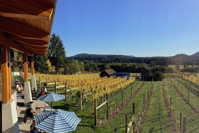 Cowichan Valley Premium Wine Tour - Why the pre-booked tasting plan saves your whole afternoon