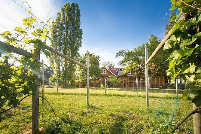 Cowichan Valley Premium Wine Tour - What you’ll taste: Pinot Gris, Pinot Noir, and local varietals