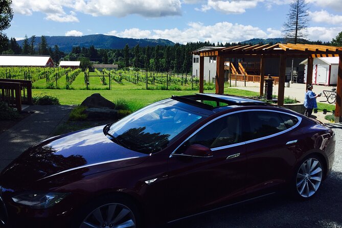Cowichan Valley Premium Wine Tour - Price and value: what you’re really paying for