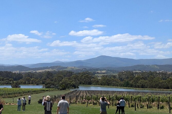 Cruise Ship Friendly Yarra Valley Wine Tour with Port Pickup - Key Things I’d Highlight Before You Go