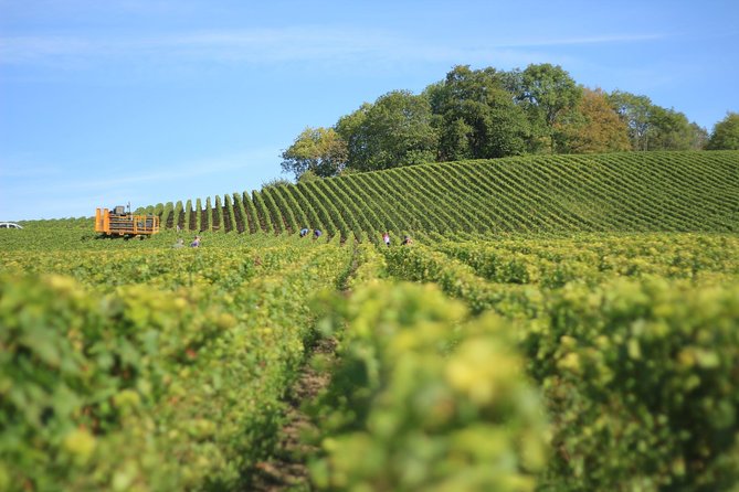 Customized private winery day tour in Yarra Valley at your own choices - Building a Yarra Valley Day That Actually Feels Like Yours