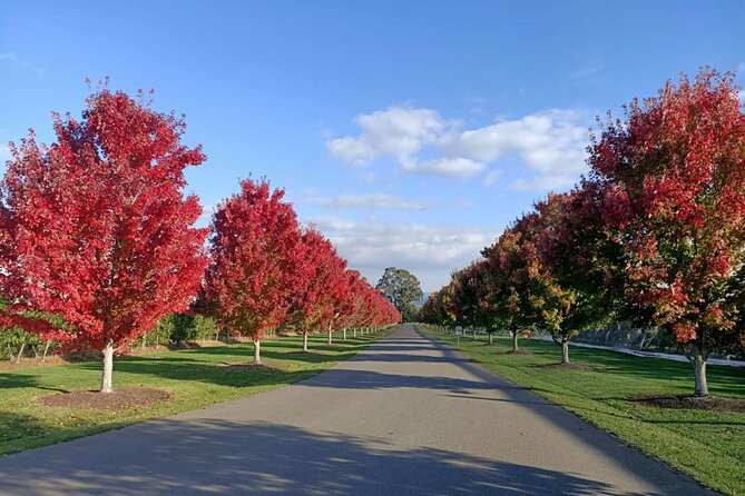 Customized private winery day tour in Yarra Valley at your own choices - Designing Your Stops: How Customization Plays Out in Real Life