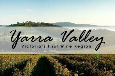 Customized private winery day tour in Yarra Valley at your own choices - Private Pickup from Melbourne: Less Driving, More Day