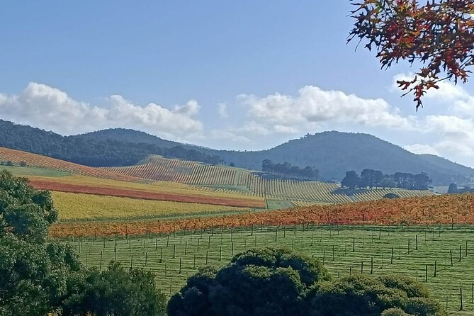 Customized private winery day tour in Yarra Valley at your own choices - Small Tips That Make a Big Difference