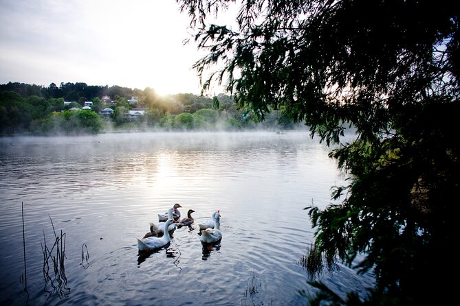 Daylesford Goldfields Track Walking and Wellness Experience - Dry Diggings to Chocolate Mill: Hepburn Springs and Fryerstown