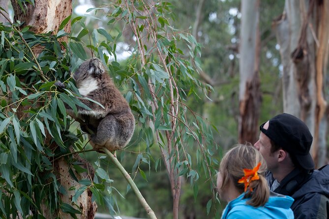Daylesford Goldfields Track Walking and Wellness Experience - Value check: what you’re really paying for at $1,900.69