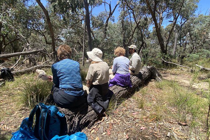 Daylesford Goldfields Track Walking and Wellness Experience - Who should choose this Daylesford Goldfields Track wellness walk