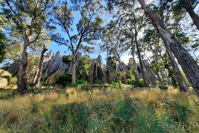 Daylesford Goldfields Track Walking and Wellness Experience - Wombat State Forest, Three Lost Children, and Sawpit Gully to Porcupine Ridge