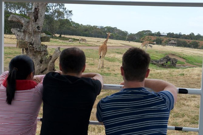 Deluxe Safari Adventure at Werribee Open Range Zoo - excl. entry - Where It Fits Best in Your Melbourne Day Plan
