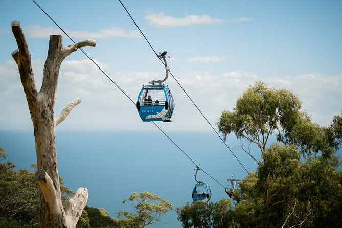 Depart Peninsula: Mornington Wine & Hot Springs Tour with Lunch - Key highlights to know before you go
