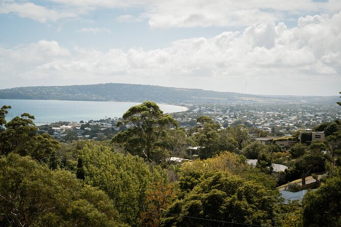 Depart Peninsula: Mornington Wine & Hot Springs Tour with Lunch - Mornington Peninsula in one packed day