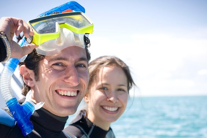 Dolphin and Seal snorkel adventure from Sorrento - Who this snorkel adventure suits (and who should skip it)