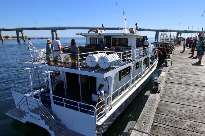 Dolphin & Whale Cruise - San Remo Jetty to Cape Woolamai: The 3-Hour Flow