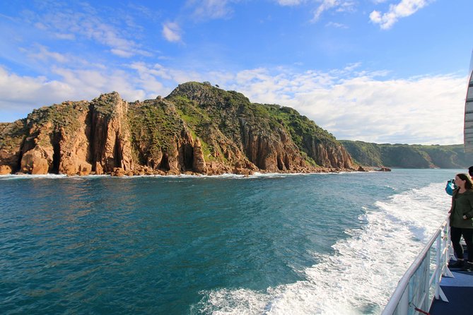 Dolphin & Whale Cruise - When It Gets Choppy: Comfort Tips That Actually Help