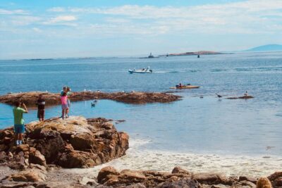 Essence of Victoria: Private Tour of Nature, History & Coast - Craigdarroch Castle: Optional Time for the Big Victoria Moment