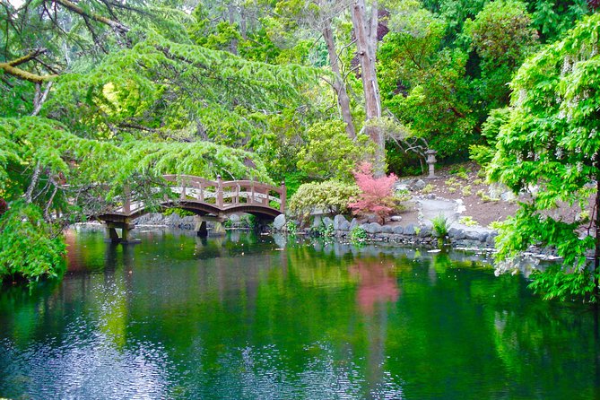 Essence of Victoria: Private Tour of Nature, History & Coast - Oak Bay Village Arts, Chinatown, and Fisherman’s Wharf: Shopping and Photo-Walking Time
