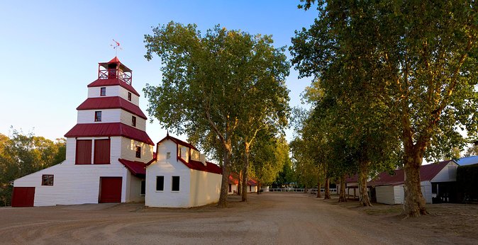 Experience a Day at Tahbilk - Tahbilk Winery and Wetlands: Wine country plus real wildlife habitat