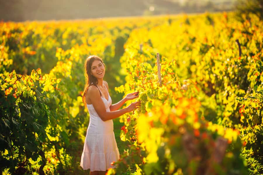 Experience Yarra Valley: A Tailored private Wine Journey - Key Details That Make a Big Difference