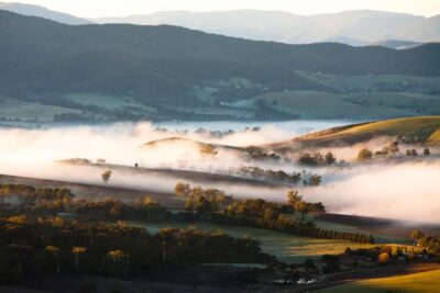 Experience Yarra Valley: A Tailored private Wine Journey - From Melbourne Pickup to Your First Tasting Stop