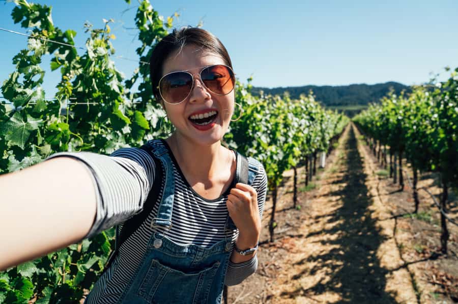 Experience Yarra Valley: A Tailored private Wine Journey - The Winery Stops: What You’ll Actually Experience