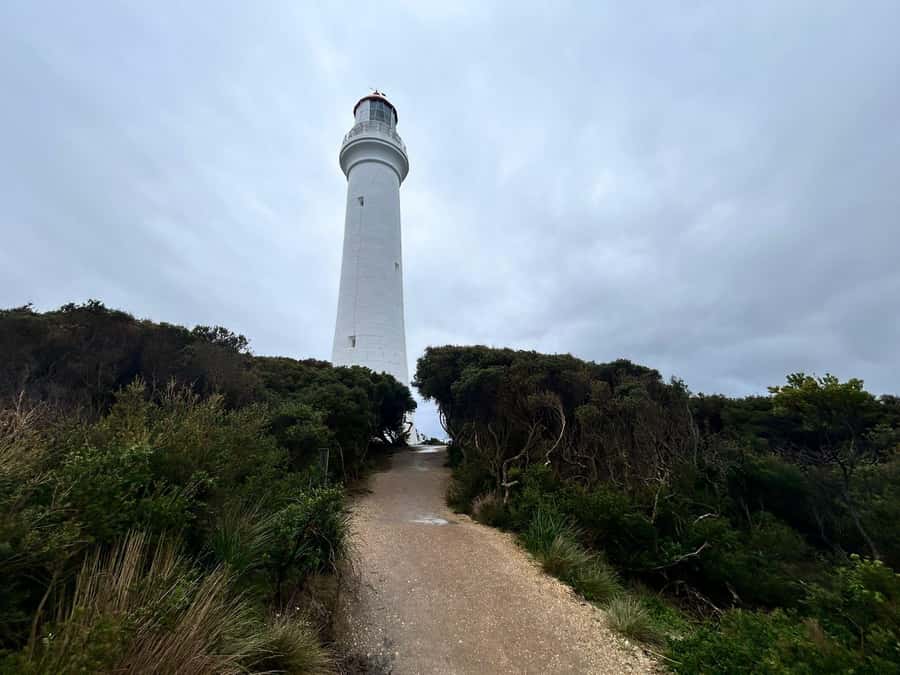 From Melbourne: 12 Apostles & Great Ocean Road Private Tour - Kennett River and Marriner’s Lookout: the wildlife stop plus a major view break