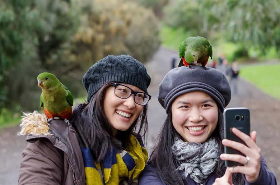 From Melbourne: 3-Day Great Ocean Road Grampians Tour - Day 3: Mackenzie Falls, Reeds Lookout, and Boroka’s viewpoint payoff