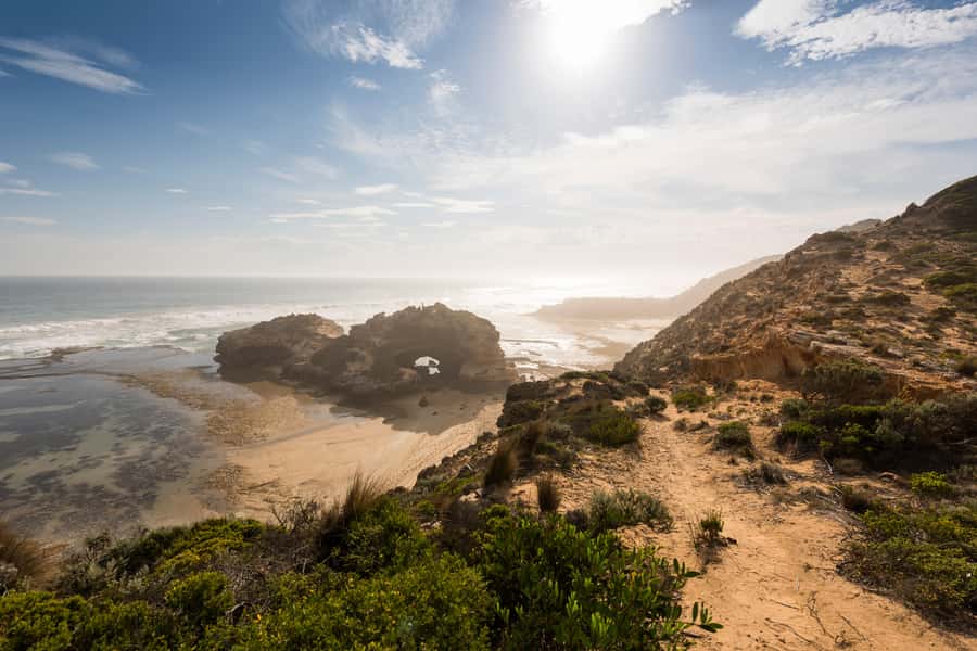 From Melbourne: Bay Sightseeing and Ferry Ride with Lunch - Key Things to Know Before You Go