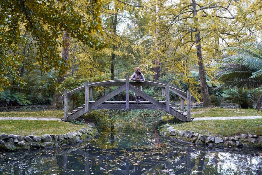 From Melbourne: Dandenong Ranges Private Day Tour - Who Should Book This Private Dandenong Ranges Day?