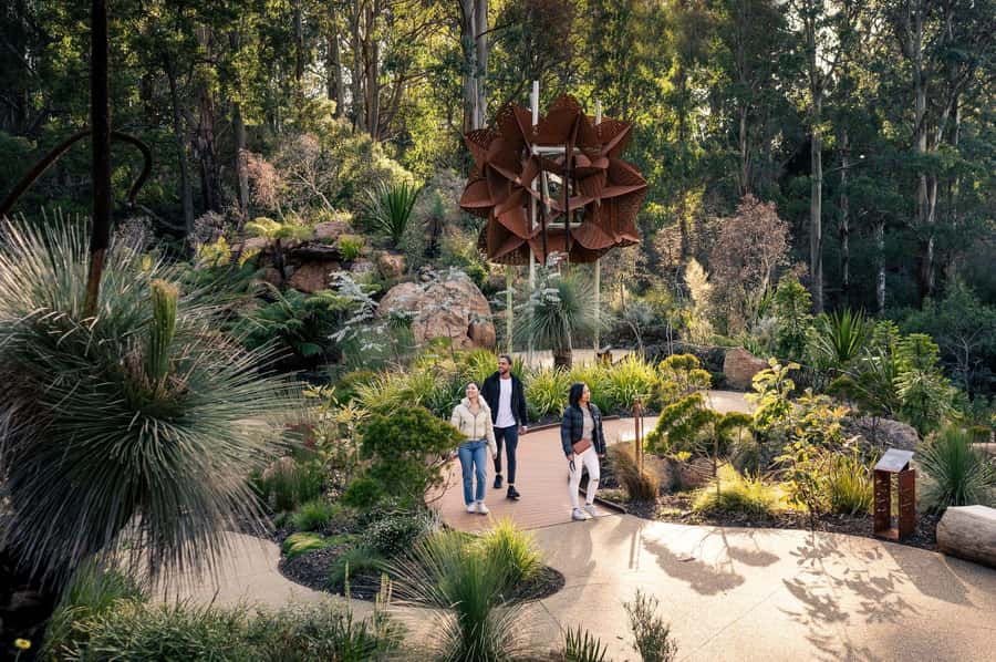 From Melbourne: Dandenong Ranges Private Day Tour - Dandenong Ranges Botanic Gardens and the Chelsea Australian Garden