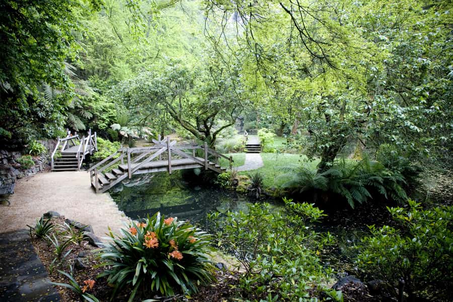 From Melbourne: Dandenong Ranges Private Day Tour - The Eucalyptus and Fern Forest Walk: Shade, Birds, and Big-Tree Scale