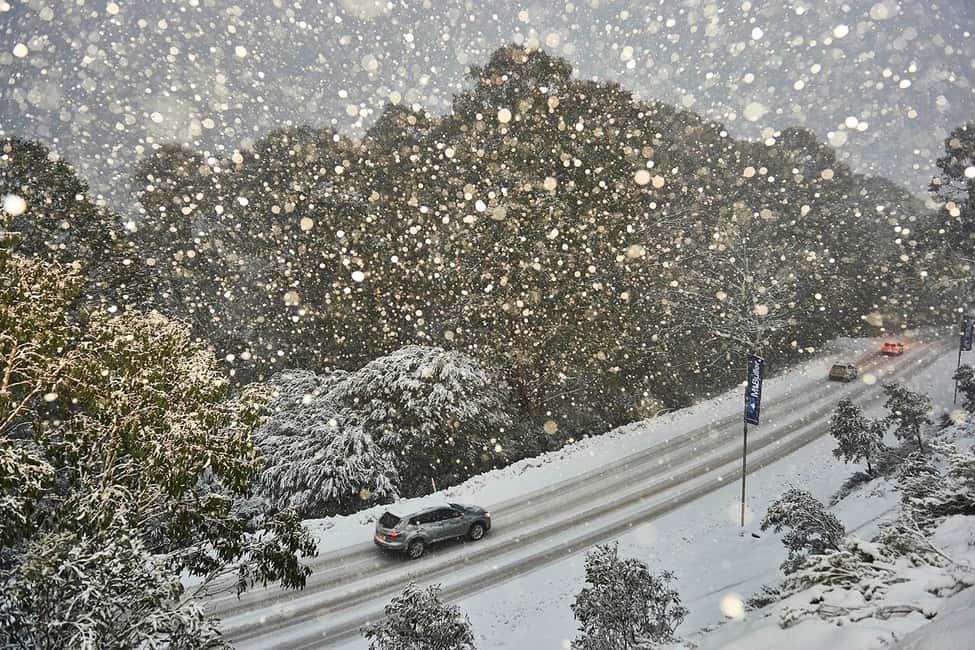 From Melbourne: Day Tour to Mt Buller with Snow Clothes - Value and Pricing: What $131 Includes (and What It Doesn’t)