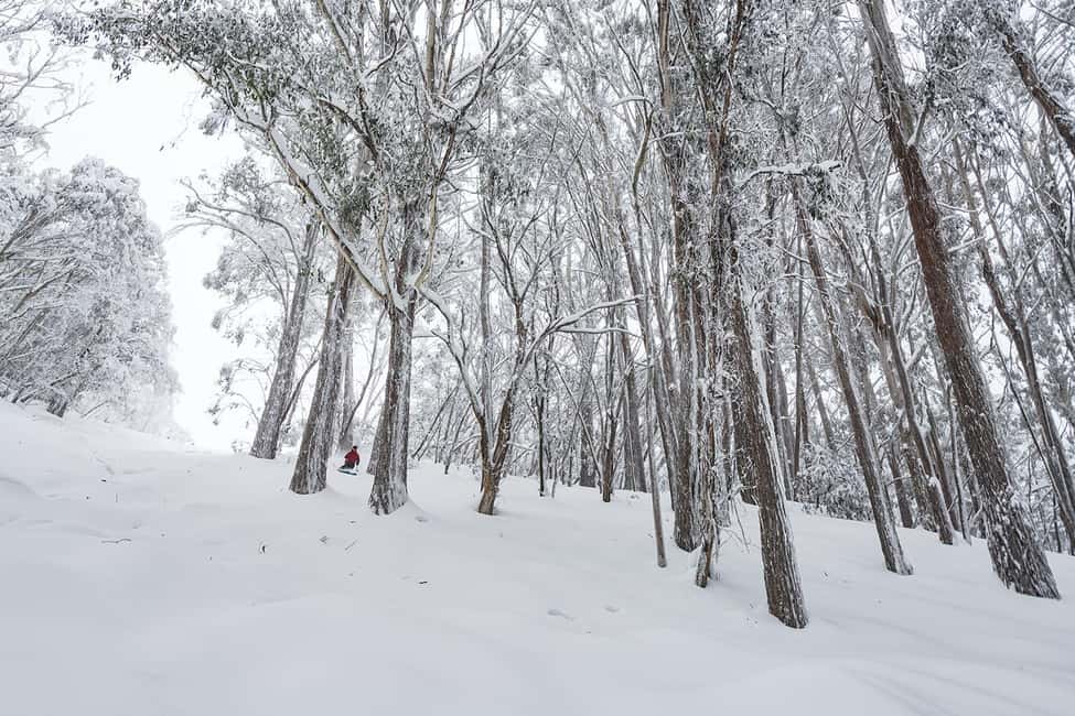 From Melbourne: Day Tour to Mt Buller with Snow Clothes - Safety and Comfort Note From Feedback