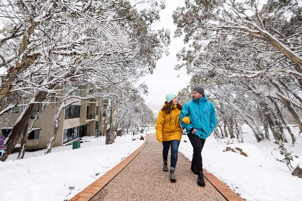From Melbourne: Day Tour to Mt Buller with Snow Clothes - Who This Mt Buller Coach Tour Suits Best