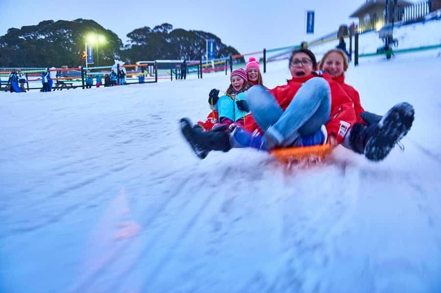 From Melbourne: Day Trip to Mt Buller by Premium Tour Coach - Key Things That Make This Mt Buller Day Trip Work