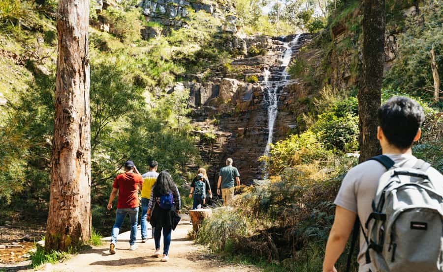 From Melbourne: Grampians National Park Group Tour - Halls Gap lunch break: kangaroos, birds, and your own food plan