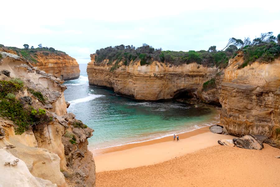 From Melbourne: Great Ocean Road, 12 Apostles & Koalas - Spotting koalas at Kennett River: wildlife that feels real