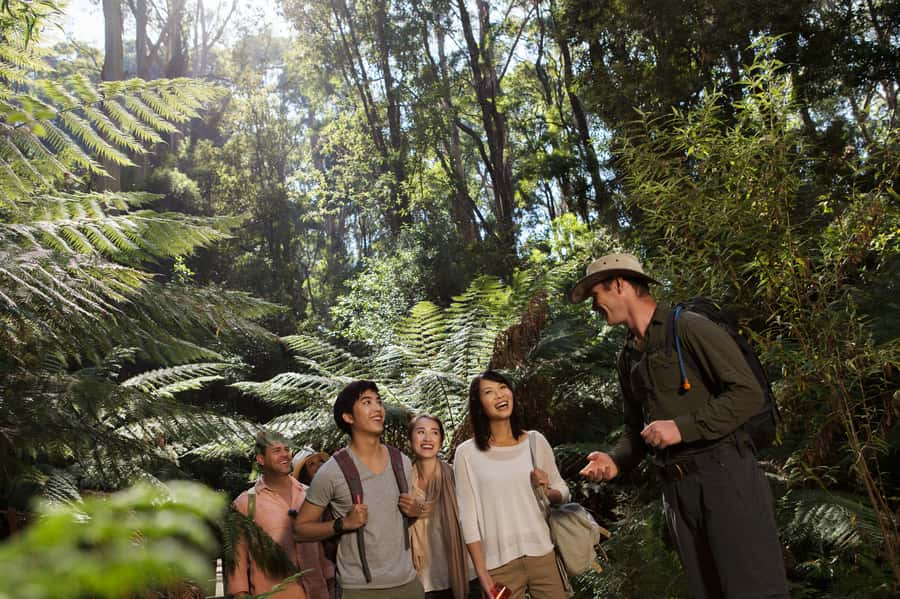 From Melbourne: Great Ocean Road, 12 Apostles & Koalas - Picking up near the theatres: what to expect at check-in