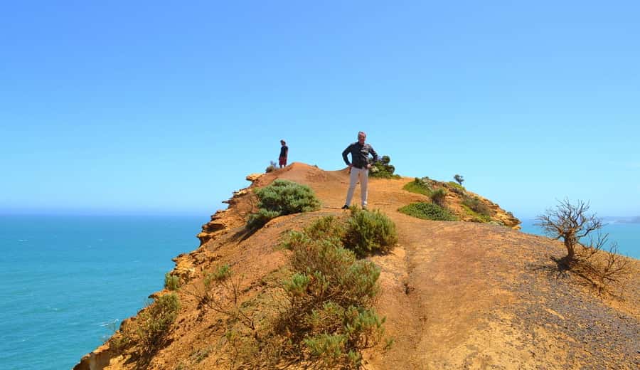 From Melbourne: Great Ocean Road Day Trip with Dinner - Stop by Stop: The Grotto to London Bridge