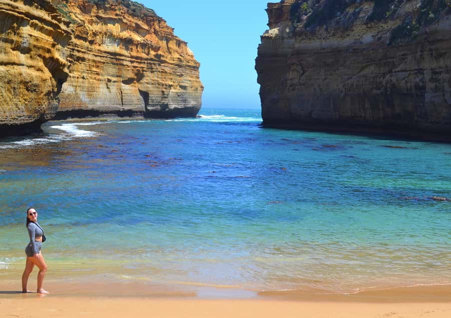 From Melbourne: Great Ocean Road Day Trip with Dinner - Kennett River: Wildlife Viewing Time That’s Actually Built In