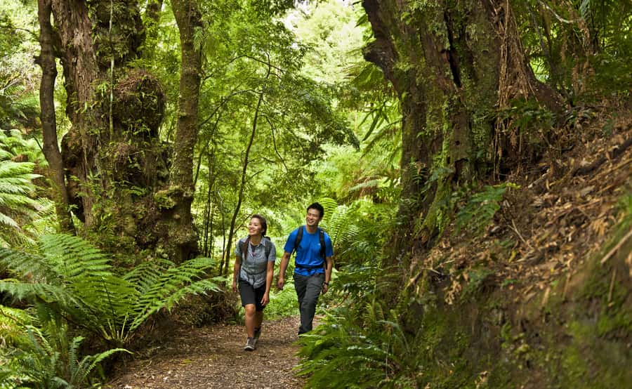 From Melbourne: Great Ocean Road Full-Day Guided Trip - Apollo Bay Lunch Break: Eat Local, Then Reset