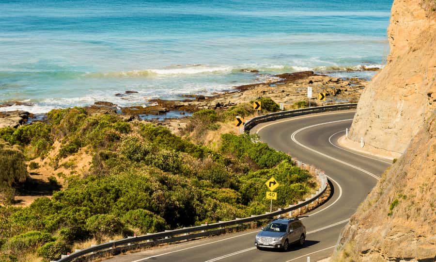 From Melbourne: Great Ocean Road Full-Day Sunset Tour - Kennett River Koalas: The Wildlife Stop That Actually Changes the Mood