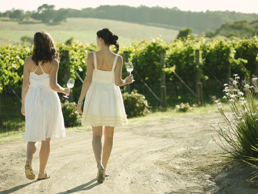 From Melbourne: Mornington Peninsula Food & Wine Taste Trail - Arthurs Seat and Murrays Lookout Across to the City