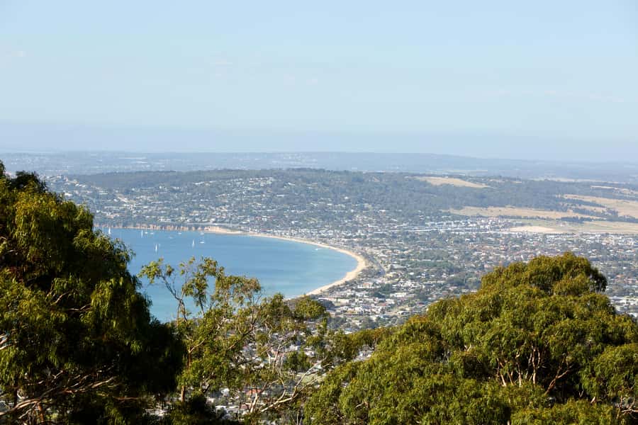 From Melbourne: Mornington Peninsula Food & Wine Taste Trail - Timing, Transport, and How to Stay Comfortable for 510 Minutes