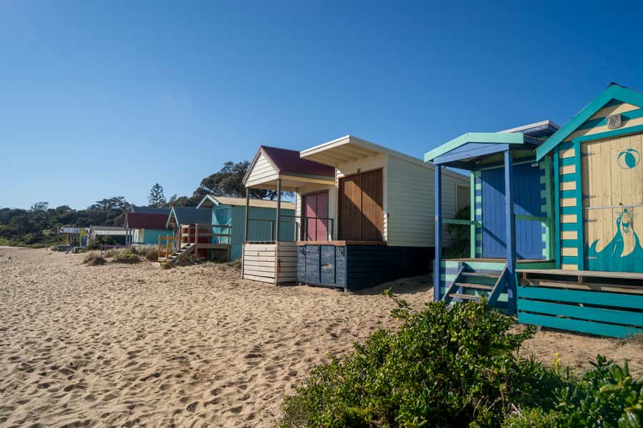 From Melbourne: Mornington Peninsula: Sightseeing Tour - The ferry crossing that makes the day feel longer (in a good way)