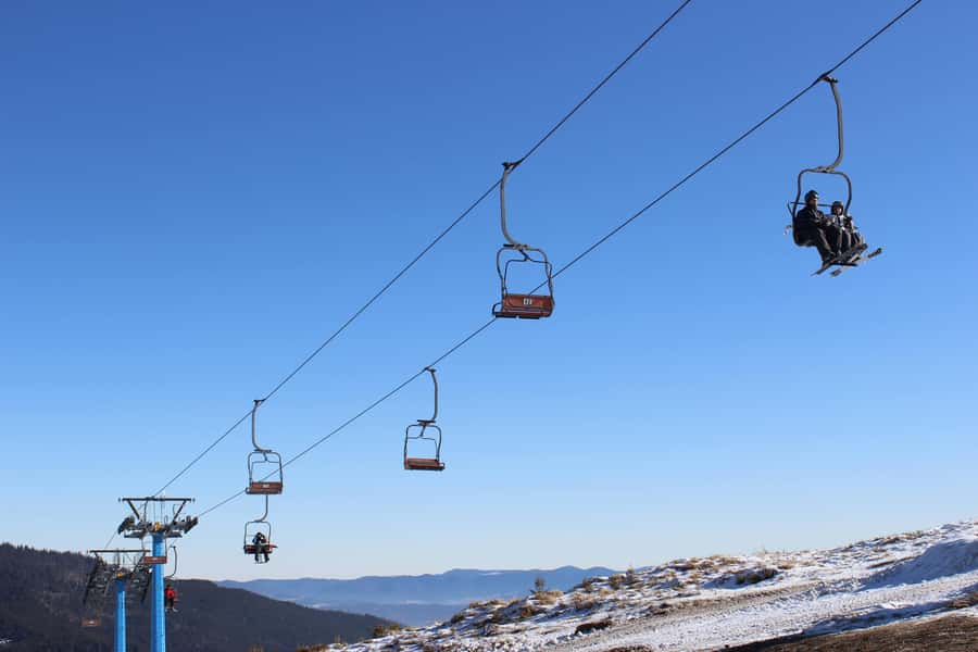 From Melbourne: Mt Buller Scenic Snow Getaway Day Tour - Key Highlights That Matter on This Snow Day