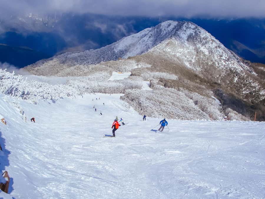 From Melbourne: Mt Buller Scenic Snow Getaway Day Tour - How The Mt Buller Day Tour Works From Melbourne
