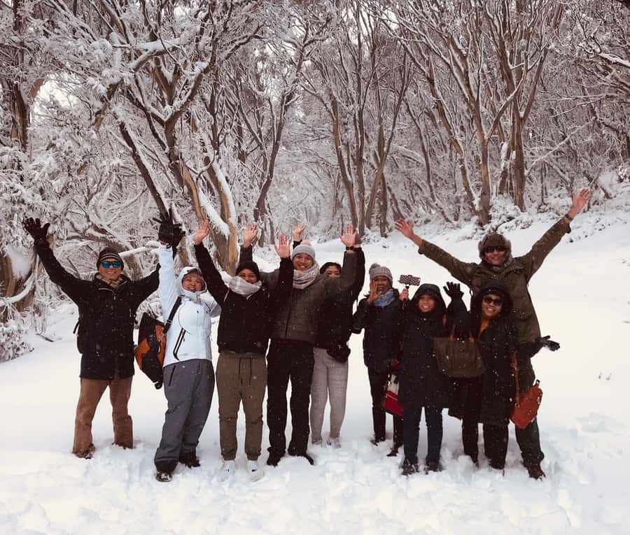 From Melbourne: Mt Buller Snow Day Small Group Boutique Tour - Northside Express chairlift: optional summit-style views